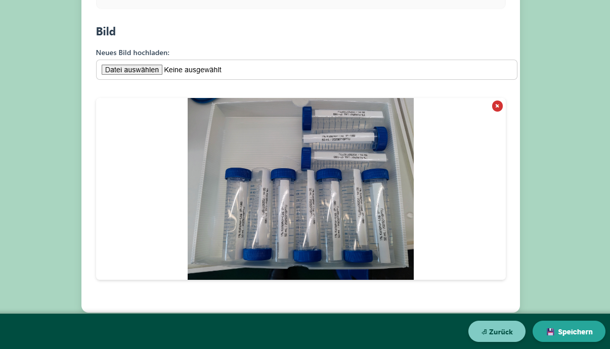 Bilderablage Experiment